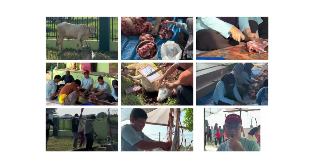Kisah Qurban di SMA Islam Al-Azhar 17 Karawang